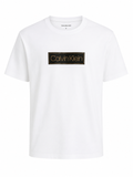 Polera Calvin Klein box logo Negro dorado ‘Blanca’